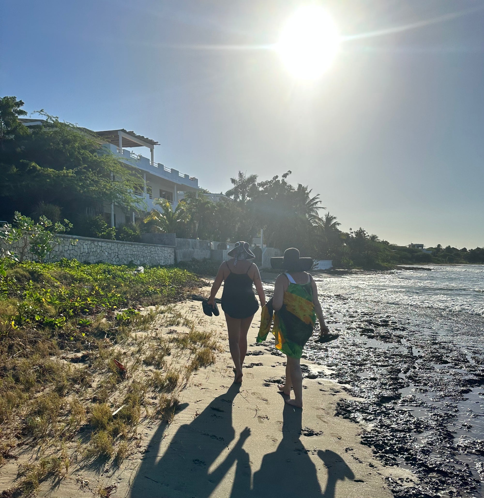 Walk on the Beach Before Breakfast: presiolite, gold and turquoise earring
