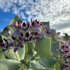 Amethyst in Her Garden: pearl, labradorite mosaic necklace