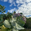 Amethyst in Her Garden: pearl, labradorite mosaic necklace