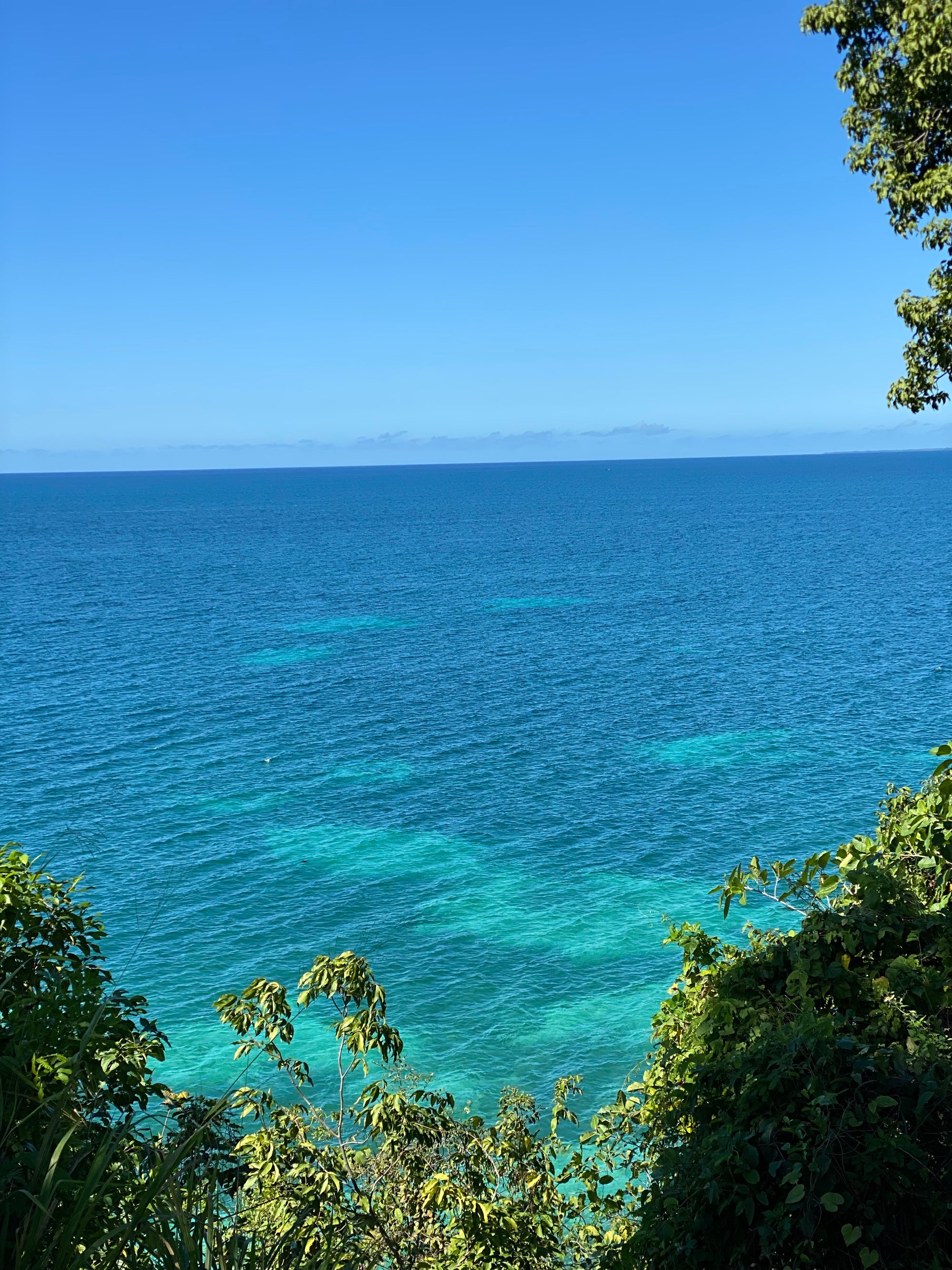 Caribbean Queen: paraiba tourmaline and gold necklace