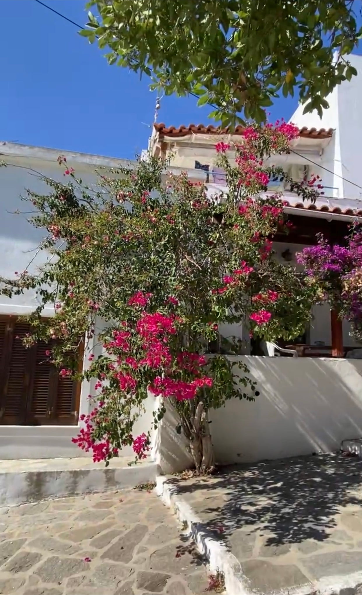She Spoke in Rays of Sunshine: silver, sapphire, tourmaline earrings